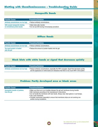49
Tel: 800-874-3723 or 815-968-0747
www.piercenet.com
Possible Causes Precautions/Solutions
Antibody concentrations are too high • Reduce antibody concentrations.
SDS caused nonspecific binding • Wash blots after transfer.
to immobilized protein bands • Do not use SDS during immunoassay procedure.
Possible Causes Precautions/Solutions
Antibody concentrations are too high • Reduce antibody concentrations.
Too much protein is loaded • Reduce the amount of protein loaded onto the gel.
onto the gel
Possible Causes Precautions/Solutions
Antibody concentrations are too high • Reduce antibody concentrations, especially the HRP conjugate. Signal that decreases quickly
and the appearance of white bands are indications that there is too much HRP in the system.
Possible Causes Precautions/Solutions
Incomplete transfer of proteins • Make sure there are no air bubbles between the gel and membrane during transfer.
from the gel • Wet membrane according to the manufacturer’s instructions.
• Do not handle the membrane with bare hands. Always wear clean gloves or use forceps.
• Use a new membrane.
• Incubate membranes separately to ensure that membrane strips are not covering one
another during incubations.
Nonspecific Bands
Diffuse Bands
Black blots with white bands or signal that decreases quickly
Problem: Partly developed area or blank areas
Blotting with Chemiluminescence – Troubleshooting Guide
 