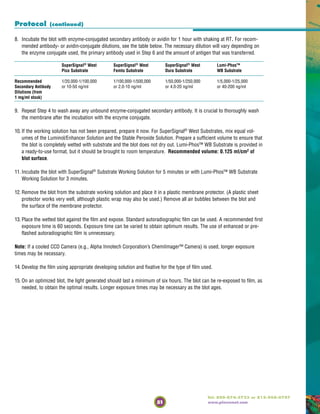 51
Tel: 800-874-3723 or 815-968-0747
www.piercenet.com
8. Incubate the blot with enzyme-conjugated secondary antibody or avidin for 1 hour with shaking at RT. For recom-
mended antibody- or avidin-conjugate dilutions, see the table below. The necessary dilution will vary depending on
the enzyme conjugate used, the primary antibody used in Step 6 and the amount of antigen that was transferred.
SuperSignal®
West SuperSignal®
West SuperSignal®
West Lumi-Phos™
Pico Substrate Femto Substrate Dura Substrate WB Substrate
Recommended 1/20,000-1/100,000 1/100,000-1/500,000 1/50,000-1/250,000 1/5,000-1/25,000
Secondary Antibody or 10-50 ng/ml or 2.0-10 ng/ml or 4.0-20 ng/ml or 40-200 ng/ml
Dilutions (from
1 mg/ml stock)
9. Repeat Step 4 to wash away any unbound enzyme-conjugated secondary antibody. It is crucial to thoroughly wash
the membrane after the incubation with the enzyme conjugate.
10. If the working solution has not been prepared, prepare it now. For SuperSignal®
West Substrates, mix equal vol-
umes of the Luminol/Enhancer Solution and the Stable Peroxide Solution. Prepare a sufficient volume to ensure that
the blot is completely wetted with substrate and the blot does not dry out. Lumi-Phos™ WB Substrate is provided in
a ready-to-use format, but it should be brought to room temperature. Recommended volume: 0.125 ml/cm2
of
blot surface.
11. Incubate the blot with SuperSignal®
Substrate Working Solution for 5 minutes or with Lumi-Phos™ WB Substrate
Working Solution for 3 minutes.
12. Remove the blot from the substrate working solution and place it in a plastic membrane protector. (A plastic sheet
protector works very well, although plastic wrap may also be used.) Remove all air bubbles between the blot and
the surface of the membrane protector.
13. Place the wetted blot against the film and expose. Standard autoradiographic film can be used. A recommended first
exposure time is 60 seconds. Exposure time can be varied to obtain optimum results. The use of enhanced or pre-
flashed autoradiographic film is unnecessary.
Note: If a cooled CCD Camera (e.g., Alpha Innotech Corporation’s ChemiImager™ Camera) is used, longer exposure
times may be necessary.
14. Develop the film using appropriate developing solution and fixative for the type of film used.
15. On an optimized blot, the light generated should last a minimum of six hours. The blot can be re-exposed to film, as
needed, to obtain the optimal results. Longer exposure times may be necessary as the blot ages.
Protocol (continued)
 