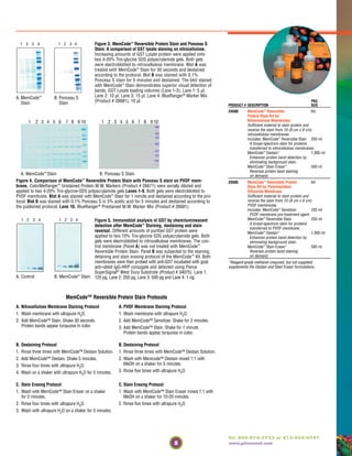 5
Tel: 800-874-3723 or 815-968-0747
www.piercenet.com
1 2 3 4 1 2 3 4
A. MemCode™ B. Ponceau S
Stain Stain
1 2 3 4 1 2 3 4
A. Control B. MemCode™ Stain
1 2 3 4 5 6 7 8 9 10 1 2 3 4 5 6 7 8 9 10
A. MemCode™ Stain B. Ponceau S Stain
Figure 4. Comparison of MemCode™ Reversible Protein Stain with Ponceau S stain on PVDF mem-
brane. ColorMeRanger™ Unstained Protein M.W. Markers (Product # 26671) were serially diluted and
applied to two 4-20% Tris-glycine-SDS polyacrylamide gels Lanes 1-9. Both gels were electroblotted to
PVDF membrane. Blot A was stained with MemCode™ Stain for 1 minute and destained according to the pro-
tocol. Blot B was stained with 0.1% Ponceau S in 5% acetic acid for 5 minutes and destained according to
the published protocol. Lane 10. BlueRanger®
Prestained M.W. Marker Mix (Product # 26681).
MemCode™ Reversible Protein Stain Protocols
A. Nitrocellulose Membrane Staining Protocol A. PVDF Membrane Staining Protocol
1. Wash membrane with ultrapure H2O. 1. Wash membrane with ultrapure H2O.
2. Add MemCode™ Stain. Shake 30 seconds. 2. Add MemCode™ Sensitizer. Shake for 2 minutes.
Protein bands appear turquoise in color. 3. Add MemCode™ Stain. Shake for 1 minute.
Protein bands appear turquoise in color.
B. Destaining Protocol B. Destaining Protocol
1. Rinse three times with MemCode™ Destain Solution. 1. Rinse three times with MemCode™ Destain Solution.
2. Add MemCode™ Destain. Shake 5 minutes. 2. Wash with Memcode™ Destain mixed 1:1 with
MeOH on a shaker for 5 minutes.3. Rinse four times with ultrapure H2O.
3. Rinse five times with ultrapure H2O.4. Wash on a shaker with ultrapure H2O for 5 minutes.
C. Stain Erasing Protocol C. Stain Erasing Protocol
1. Wash with MemCode™ Stain Eraser on a shaker 1. Wash with MemCode™ Stain Eraser mixed 1:1 with
for 2 minutes. MeOH on a shaker for 10-20 minutes.
2. Rinse four times with ultrapure H2O. 2. Rinse five times with ultrapure H2O.
3. Wash with ultrapure H2O on a shaker for 5 minutes.
Figure 3. MemCode™ Reversible Protein Stain and Ponceau S
Stain: A comparison of GST lysate staining on nitrocellulose.
Increasing amounts of GST Lysate protein were applied onto
two 4-20% Tris-glycine SDS polyacrylamide gels. Both gels
were electroblotted to nitrocellulose membrane. Blot A was
treated with MemCode™ Stain for 30 seconds and destained
according to the protocol. Blot B was stained with 0.1%
Ponceau S stain for 5 minutes and destained. The blot stained
with MemCode™ Stain demonstrates superior visual detection of
bands. GST Lysate loading volumes (Lane 1-3). Lane 1: 5 µl,
Lane 2: 10 µl, Lane 3: 15 µl, Lane 4: BlueRanger®
Marker Mix
(Product # 26681), 10 µl.
Figure 5. Immunoblot analysis of GST by chemiluminescent
detection after MemCode™ Staining, destaining and stain
reversal. Different amounts of purified GST protein were
applied to two 10% Tris-glycine SDS polyacrylamide gels. Both
gels were electroblotted to nitrocellulose membranes. The con-
trol membrane (Panel A) was not treated with MemCode™
Reversible Protein Stain. Panel B was subjected to the staining,
detaining and stain erasing protocol of the MemCode™ Kit. Both
membranes were then probed with anti-GST incubated with goat
anti-rabbit IgG-HRP conjugate and detected using Pierce
SuperSignal®
West Dura Substrate (Product # 34075). Lane 1:
125 pg, Lane 2: 250 pg, Lane 3: 500 pg and Lane 4: 1 ng.
PKG.
PRODUCT # DESCRIPTION SIZE
24580 MemCode™ Reversible Kit
Protein Stain Kit for
Nitrocellulose Membranes
Sufficient material to stain protein and
reverse the stain from 10 (8 cm x 8 cm)
nitrocellulose membranes.
Includes: MemCode™ Reversible Stain 250 ml
A broad-spectrum stain for proteins
transferred to nitrocellulose membranes.
MemCode™ Destain* 1,000 ml
Enhances protein band detection by
eliminating background stain.
MemCode™ Stain Eraser* 500 ml
Reverses protein band staining
on demand.
24585 MemCode™ Reversible Protein Kit
Stain Kit for Polyvinylidene
Difluoride Membrane
Sufficient material to stain protein and
reverse the stain from 10 (8 cm x 8 cm)
PVDF membranes.
Includes: MemCode™ Sensitizer 250 ml
PVDF membrane pre-treatment agent.
MemCode™ Reversible Stain 250 ml
A broad-spectrum stain for proteins
transferred to PVDF membrane.
MemCode™ Destain* 1,000 ml
Enhances protein band detection by
eliminating background stain.
MemCode™ Stain Eraser* 500 ml
Reverses protein band staining
on demand.
*Reagent-grade methanol (required, but not supplied)
supplements the Destain and Stain Eraser formulations.
 