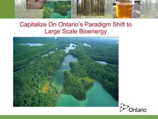 Capitalize On Ontario’s Paradigm Shift to Large Scale Bioenergy 