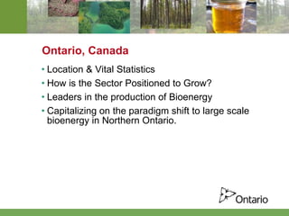 Ontario, Canada Location & Vital Statistics How is the Sector Positioned to Grow? Leaders in the production of Bioenergy Capitalizing on the paradigm shift to large scale bioenergy in Northern Ontario.  