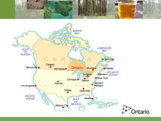 Ontario 