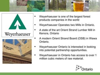 Weyerhaeuser is one of the largest forest products companies in the world Weyerhaeuser Operates two Mills in Ontario. A state of the art Orient Strand Lumber Mill in Kenora, Ontario  A modern Orient Strand Board (OSB) in Wawa Ontario. Weyerhaeuser Ontario is interested in looking into potential partnership opportunities.  Weyerhaeuser in Ontario has access to over 1 million cubic meters of raw material. 