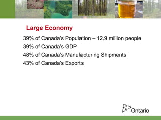 Large Economy 39% of Canada’s Population – 12.9 million people 39% of Canada’s GDP 48% of Canada’s Manufacturing Shipments 43% of Canada’s Exports 