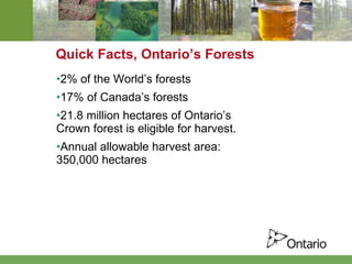 Quick Facts, Ontario’s Forests 2% of the World’s forests 17% of Canada’s forests 21.8 million hectares of Ontario’s Crown forest is eligible for harvest. Annual allowable harvest area: 350,000 hectares 