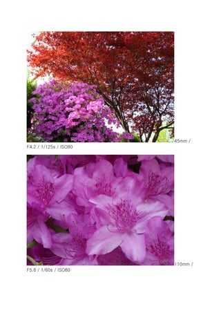 Even Tempting to Professional Photographers