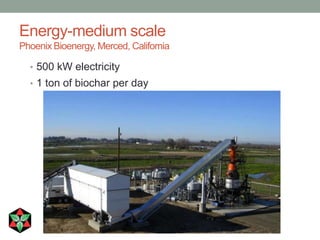 What is Biochar? How Can You Make Money with Biochar? | PPTX