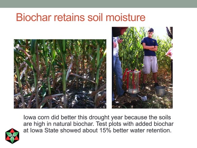 What is Biochar? How Can You Make Money with Biochar? | PPTX