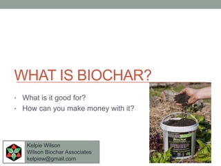 WHAT IS BIOCHAR?
• What is it good for?
• How can you make money with it?




   Kelpie Wilson
   Wilson Biochar Associates
   kelpiew@gmail.com
 