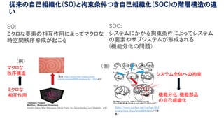 従来の自己組織化(SO)と拘束条件つき自己組織化(SOC)の階層構造の違
い
ミクロな
相互作用
マクロな
秩序構造
機能分化：機能部品
の自己組織化
システム全体への拘束（北畑：http://www.chem.scphys.kyoto-
u.ac.jp/nonnonWWW/kitahata/bz_1.htmlより）
（Honours Project:
MolDyn - Molecular Dynamics
Veselin Dikov, Niko Manopulo, Darya Popiv, Ilya Saverchenko, Levi Valgaerts より）
（例）
（http://www.yuchan.net/yuchan/dict
ionary/new_ikuji/brain004.htmlより改
変）
（例）
SO:
ミクロな要素の相互作用によってマクロな
時空間秩序形成が起こる
SOC:
システムにかかる拘束条件によってシステム
の要素やサブシステムが形成される
(機能分化の問題）
 