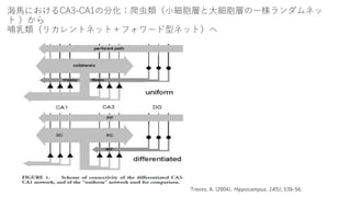 海馬におけるCA3-CA1の分化：爬虫類（小細胞層と大細胞層の一様ランダムネッ
ト ）から
哺乳類（リカレントネット＋フォワード型ネット）へ
Treves, A. (2004). Hippocampus, 14(5), 539–56.
 