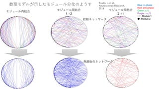 数理モデルが示したモジュール分化のようす
モジュール内結合 モジュール間結合
1→2
モジュール間結合
2→1
Blue: in-phase
Red: anti-phase
Green: 𝜋/2
Purple: −𝜋/2
○：Module 1
●: Module 2
発展後のネットワーク
初期ネットワーク
Tsuda, I., et al,
Neuroscience Research,
2014
 