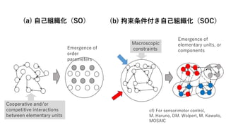 Cooperative and/or
competitive interactions
between elementary units
Emergence of
order
parameters
Macroscopic
constraints
Emergence of
elementary units, or
components
(a) 自己組織化（SO） (b) 拘束条件付き自己組織化（SOC）
cf) For sensorimotor control,
M. Haruno, DM. Wolpert, M. Kawato,
MOSAIC
 