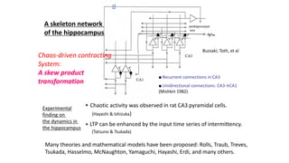 A skeleton network
of the hippocampus
● Unidirectional connections: CA3→CA1
(Mishkin 1982)
Experimental
finding on
the dynamics in
the hippocampus
Buzsaki; Toth, et al
⋆ Chaotic activity was observed in rat CA3 pyramidal cells.
(Hayashi & Ishizuka)
⋆ LTP can be enhanced by the input time series of intermittency.
(Tatsuno & Tsukada)
● Recurrent connections in CA3
Many theories and mathematical models have been proposed: Rolls, Traub, Treves,
Tsukada, Hasselmo, McNaughton, Yamaguchi, Hayashi, Erdi, and many others.
Chaos-driven contracting
System:
A skew product
transformation
 