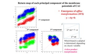 • Emergence of affine
transformations (IFS)
y→Ay+b
Return map of each principal component of the membrane
potentials of CA1
1st component
2nd component 3rd component
y’= μy
y’= μy + 1 - μ
Which branch is adopted
is determined, depending
on chaotic variable.
A skew product
transformation
y
y’
 