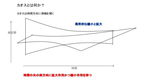 創発インタラクションの意義 機能分化に対する変分原理と数理モデル