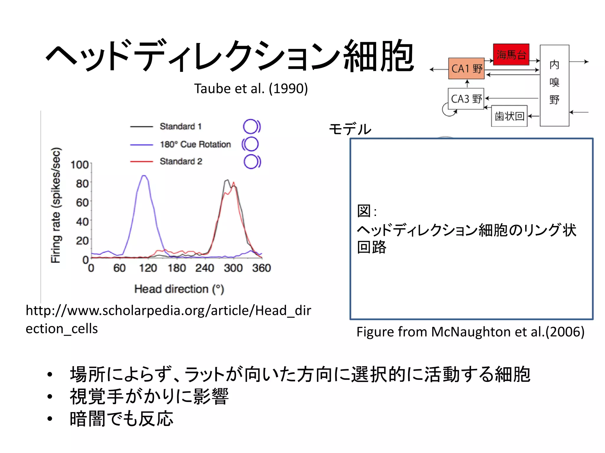 ヘッドディレクション細胞
• 場所によらず、ラットが向いた方向に選択的に活動する細胞
• 視覚手がかりに影響
• 暗闇でも反応
http://www.scholarpedia.org/article/Head_dir
ection_cells
Taube et al. (1990)
Figure from McNaughton et al.(2006)
モデル
図：
ヘッドディレクション細胞のリング状
回路
 