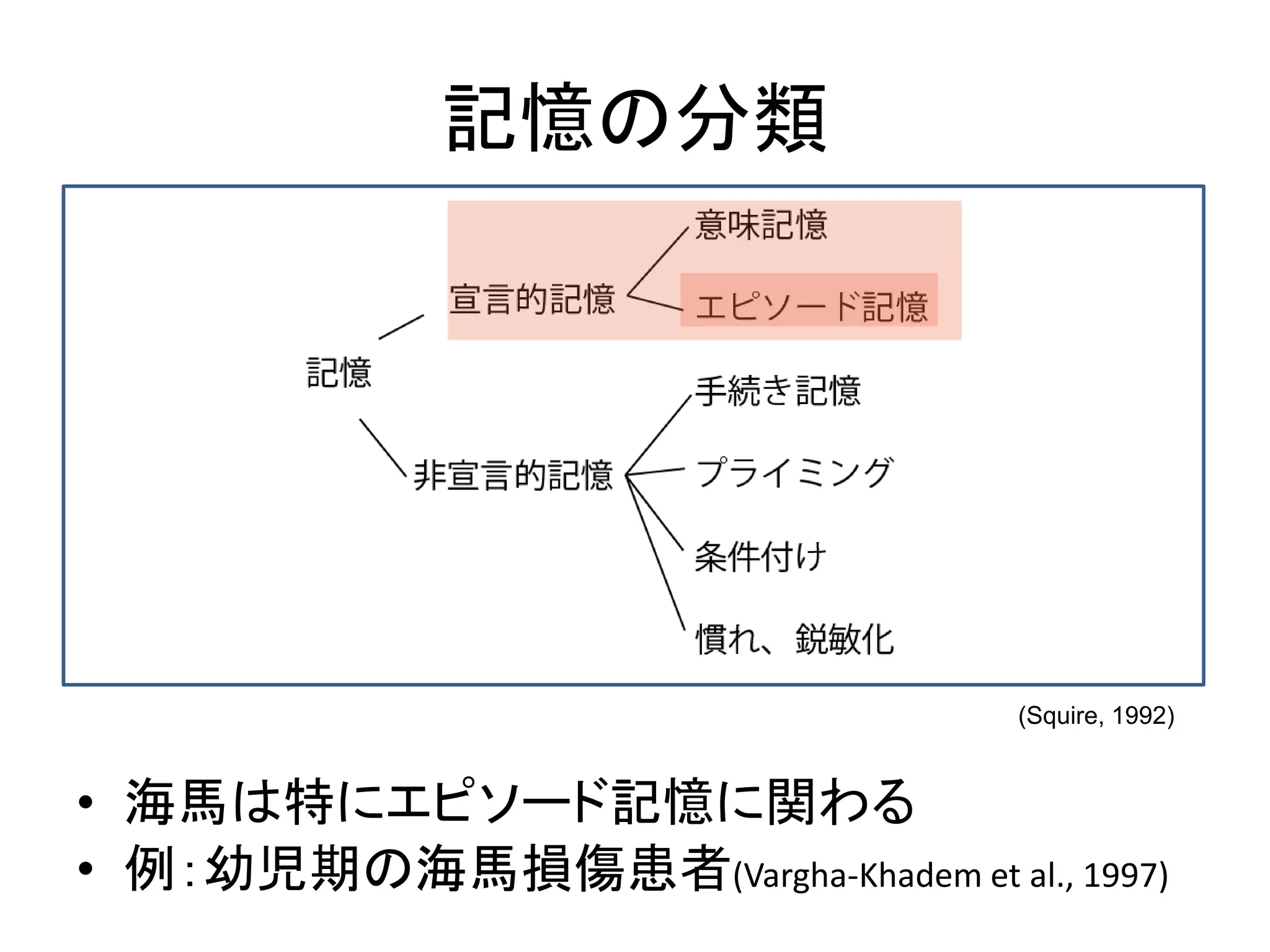 記憶の分類
• 海馬は特にエピソード記憶に関わる
• 例：幼児期の海馬損傷患者(Vargha-Khadem et al., 1997)
(Squire, 1992)
 
