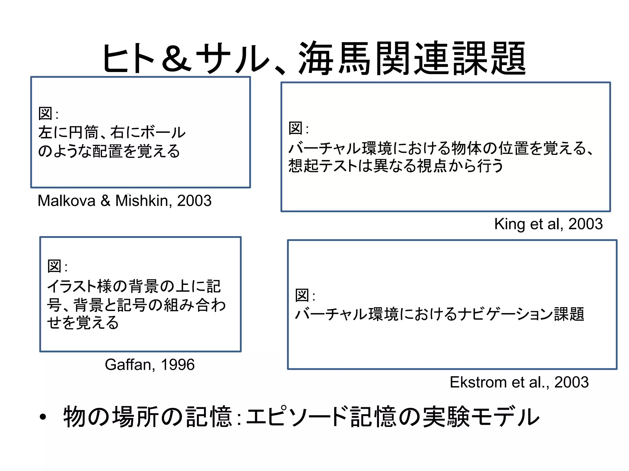 ヒト＆サル、海馬関連課題
• 物の場所の記憶：エピソード記憶の実験モデル
King et al, 2003
Ekstrom et al., 2003
Malkova & Mishkin, 2003
Gaffan, 1996
図：
左に円筒、右にボール
のような配置を覚える
図：
イラスト様の背景の上に記
号、背景と記号の組み合わ
せを覚える
図：
バーチャル環境における物体の位置を覚える、
想起テストは異なる視点から行う
図：
バーチャル環境におけるナビゲーション課題
 