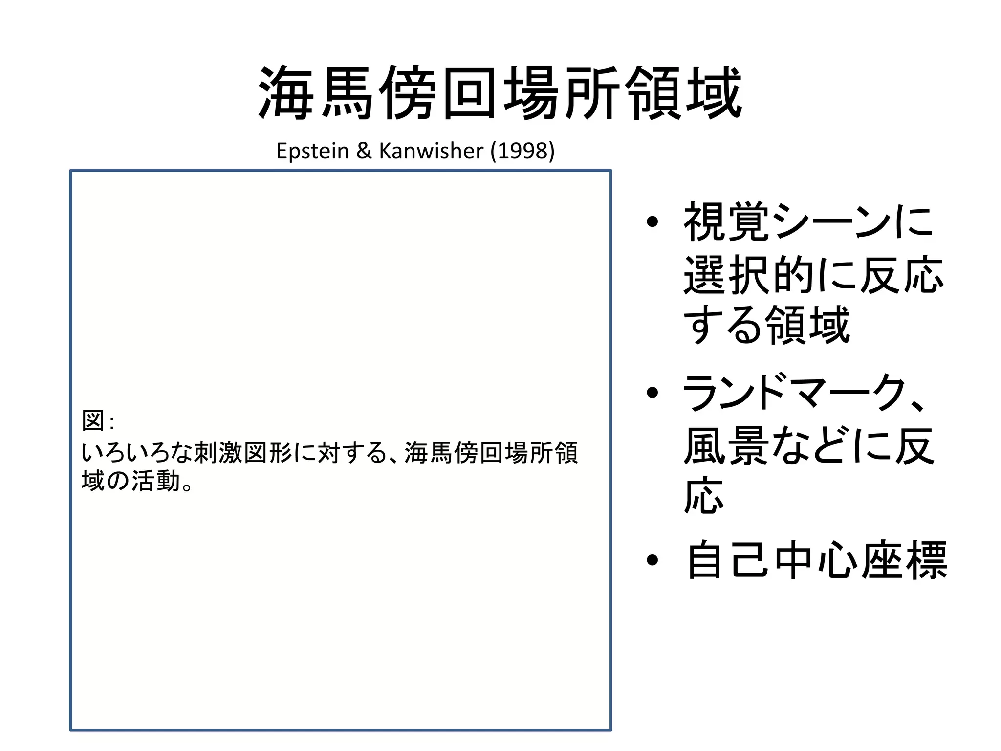 海馬傍回場所領域
• 視覚シーンに
選択的に反応
する領域
• ランドマーク、
風景などに反
応
• 自己中心座標
Epstein & Kanwisher (1998)
図：
いろいろな刺激図形に対する、海馬傍回場所領
域の活動。
 