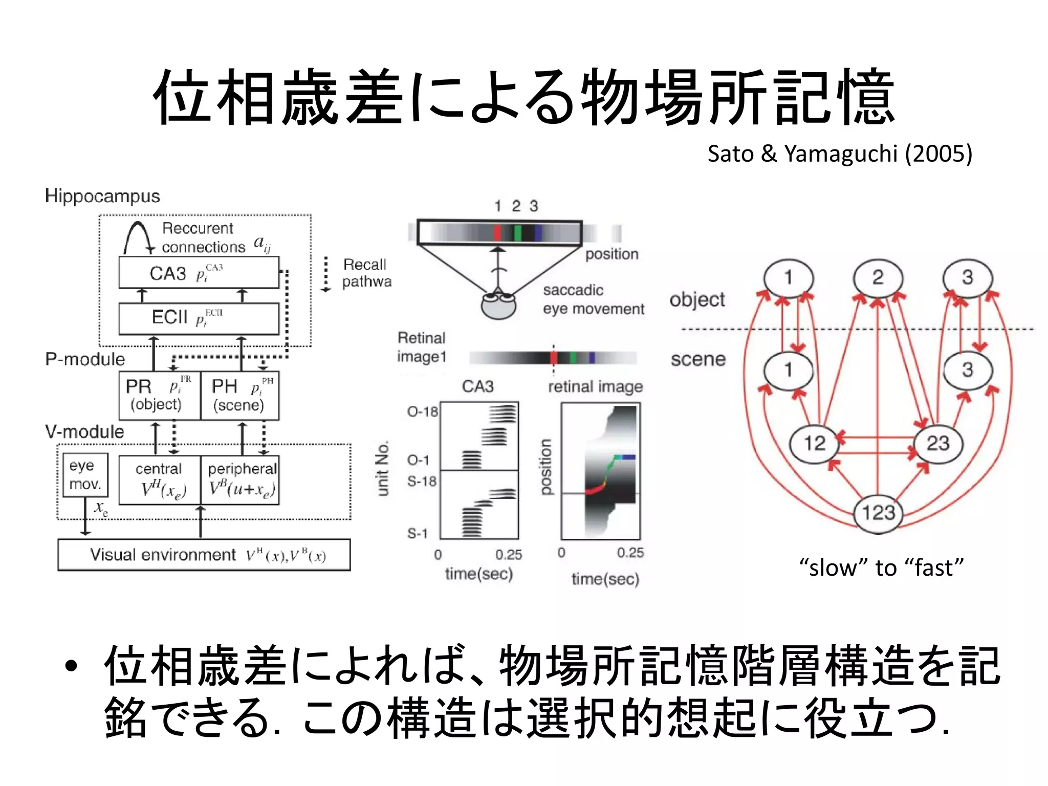 位相歳差による物場所記憶
• 位相歳差によれば、物場所記憶階層構造を記
銘できる．この構造は選択的想起に役立つ．
Sato & Yamaguchi (2005)
“slow” to “fast”
 