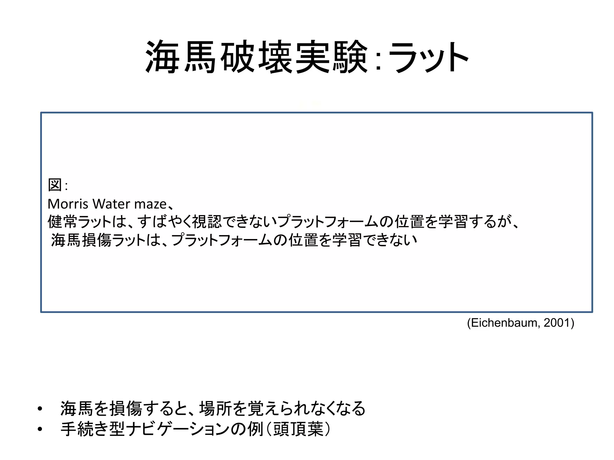 海馬破壊実験：ラット
• 海馬を損傷すると、場所を覚えられなくなる
• 手続き型ナビゲーションの例（頭頂葉）
(Eichenbaum, 2001)
Morris water maze
図：
Morris Water maze、
健常ラットは、すばやく視認できないプラットフォームの位置を学習するが、
海馬損傷ラットは、プラットフォームの位置を学習できない
 