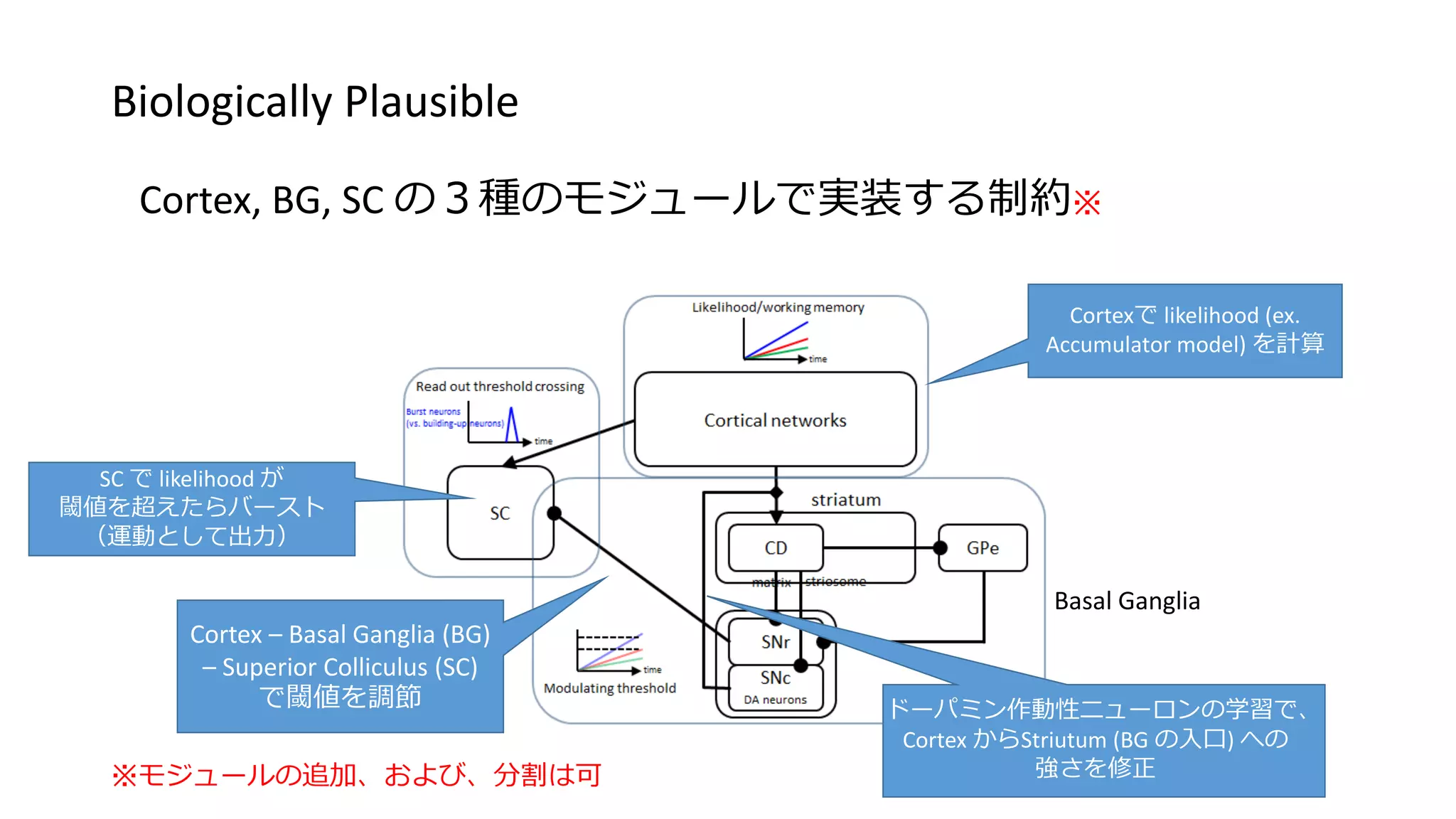 Biologically Plausible
Cortex, BG, SC の３種のモジュールで実装する制約※
Basal Ganglia
Cortexで likelihood (ex.
Accumulator model) を計算
Cortex – Basal Ganglia (BG)
– Superior Colliculus (SC)
で閾値を調節 ドーパミン作動性ニューロンの学習で、
Cortex からStriutum (BG の入口) への
強さを修正
SC で likelihood が
閾値を超えたらバースト
（運動として出力）
※モジュールの追加、および、分割は可
 