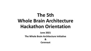 The 5th
Whole Brain Architecture
Hackathon Orientation
June 2021
The Whole Brain Architecture Initiative
&
Cerenaut
 
