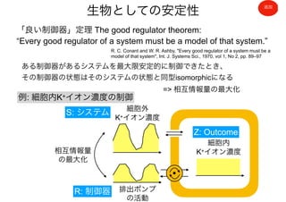 生物としての安定性
R. C. Conant and W. R. Ashby, "Every good regulator of a system must be a
model of that system", Int. J. Systems Sci., 1970, vol 1, No 2, pp. 89–97
「良い制御器」定理 The good regulator theorem:
“Every good regulator of a system must be a model of that system.”
ある制御器があるシステムを最大限安定的に制御できたとき、
その制御器の状態はそのシステムの状態と同型isomorphicになる
=> 相互情報量の最大化
細胞外
K+イオン濃度
S: システム
R: 制御器
細胞内
K+イオン濃度
排出ポンプ
の活動
Z: Outcome
相互情報量
の最大化
例: 細胞内K+イオン濃度の制御
追加
 