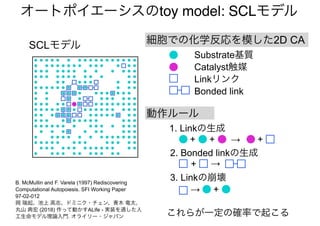 B. McMullin and F. Varela (1997) Rediscovering
Computational Autopoiesis. SFI Working Paper
97-02-012
岡 瑞起、池上 高志、ドミニク・チェン、青木 竜太、
丸山 典宏 (2018) 作って動かすALife - 実装を通した人
工生命モデル理論入門. オライリー・ジャパン
オートポイエーシスのtoy model: SCLモデル
SCLモデル
Substrate基質
Catalyst触媒
Linkリンク
Bonded link
動作ルール
細胞での化学反応を模した2D CA
+ + → +
1. Linkの生成
+ →
2. Bonded linkの生成
+
3. Linkの崩壊
→
これらが一定の確率で起こる
 