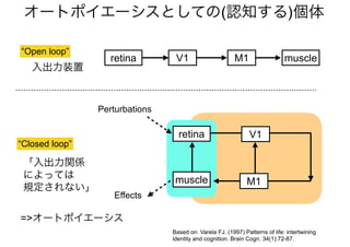 Based on: Varela FJ. (1997) Patterns of life: intertwining
identity and cognition. Brain Cogn. 34(1):72-87.
“Open loop”
“Closed loop”
オートポイエーシスとしての(認知する)個体
入出力装置
=>オートポイエーシス
Perturbations
Effects
retina
muscle
V1
retina muscleV1
M1
M1
「入出力関係
によっては
規定されない」
 