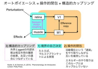 Käufer, S. & Chemero, A. (2015). Phenomenology: An Introduction.
London: Polity Press.
オートポイエーシス = 操作的閉包 + 構造的カップリング
Perturbations
Effects
muscle
V1
Sensori-
motor
coupling
Efference
copy
M1
retina
1) 境界の自己決定
活動電位という「通貨」
をやり取りしながら
互いを維持している
エネルギーのやり取りは
このループとは
カップルしていない
外界とagentの内部状
態は相互作用の履歴
の結果、お互いの適
合につながっている
2) 操作的閉包3) 構造的カップリング
たとえば、
マルコフブランケッ
トによる実現
 