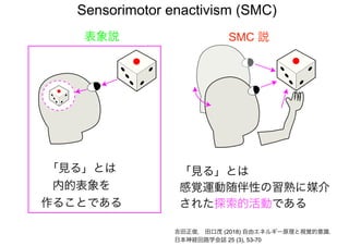 Sensorimotor enactivism (SMC)
表象説 SMC 説
「見る」とは
感覚運動随伴性の習熟に媒介
された探索的活動である
吉田正俊， 田口茂 (2018) 自由エネルギー原理と視覚的意識.
日本神経回路学会誌 25 (3), 53-70
「見る」とは
内的表象を
作ることである
 
