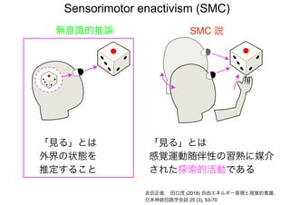 無意識的推論 SMC 説
「見る」とは
感覚運動随伴性の習熟に媒介
された探索的活動である
吉田正俊， 田口茂 (2018) 自由エネルギー原理と視覚的意識.
日本神経回路学会誌 25 (3), 53-70
「見る」とは
外界の状態を
推定すること
Sensorimotor enactivism (SMC)
 