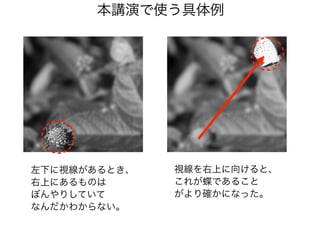 左下に視線があるとき、
右上にあるものは
ぼんやりしていて
なんだかわからない。
視線を右上に向けると、
これが蝶であること
がより確かになった。
本講演で使う具体例
 