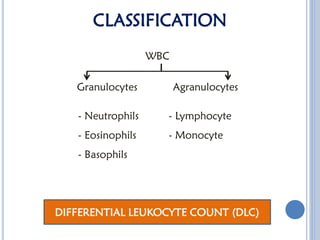 Comprehensive Overview of White Blood Cells: Types, Functions, and ...