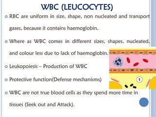 Wbcd Types Comprehensive Overview of White Blood Cells: Types, Functions, and ...