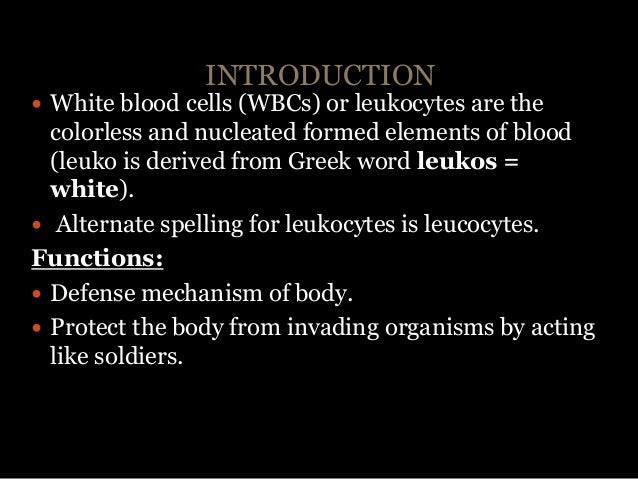 Wbc And Immunity