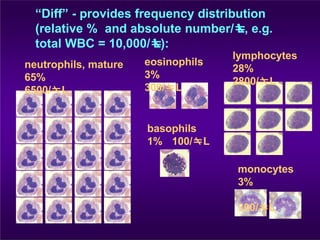 Wbc Diff Test WBC Morphology, Differential & absolutes.pptx