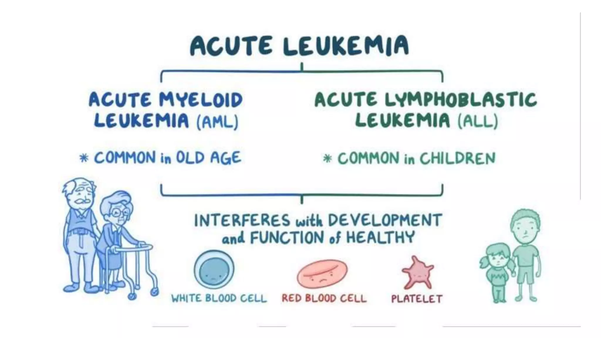 Myeloid neoplasm . Dr. Abhinav Golla , Associate Professor , Lab Director & Consultant Pathologist . Aadhya Medicure Pathlabs .