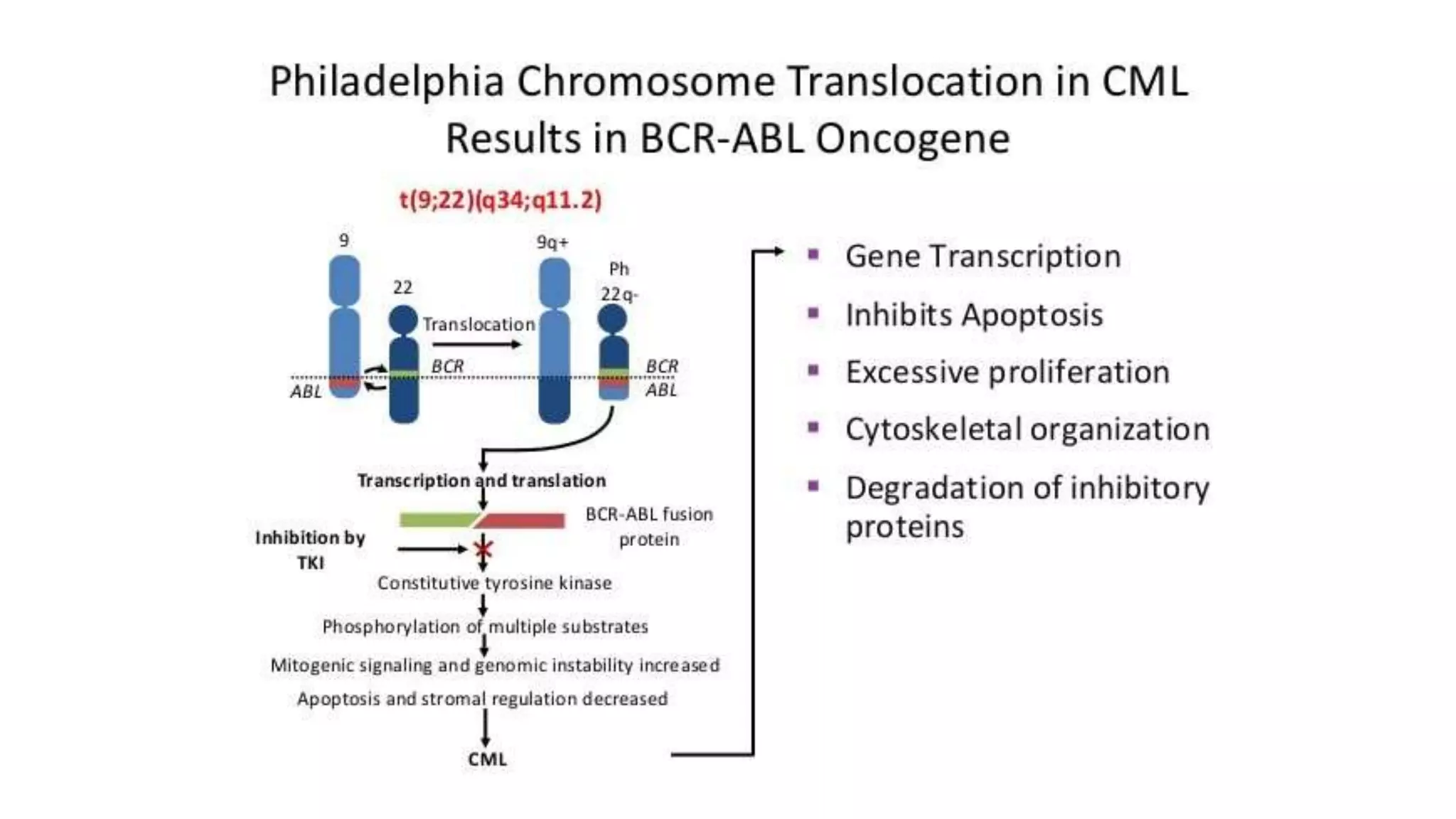 Myeloid neoplasm . Dr. Abhinav Golla , Associate Professor , Lab Director & Consultant Pathologist . Aadhya Medicure Pathlabs .