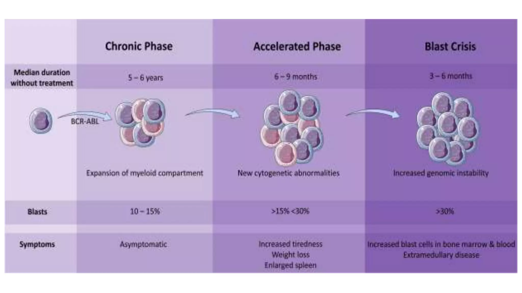 Myeloid neoplasm . Dr. Abhinav Golla , Associate Professor , Lab Director & Consultant Pathologist . Aadhya Medicure Pathlabs .