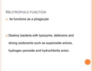 NEUTROPHILS FUNCTION
 Its functions as a phagocyte
 Destroy bacteria with lysozyme, defensins and
strong oxidocents such as superoxide anions,
hydrogen peroxide and hydrochlorite anion.
 
