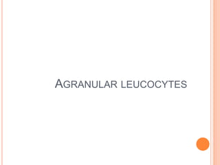 AGRANULAR LEUCOCYTES
 