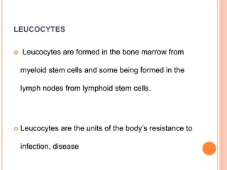LEUCOCYTES
 Leucocytes are formed in the bone marrow from
myeloid stem cells and some being formed in the
lymph nodes from lymphoid stem cells.
 Leucocytes are the units of the body’s resistance to
infection, disease
 