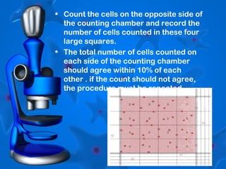 • Count the cells on the opposite side of
the counting chamber and record the
number of cells counted in these four
large squares.
• The total number of cells counted on
each side of the counting chamber
should agree within 10% of each
other . if the count should not agree,
the procedure must be repeated.