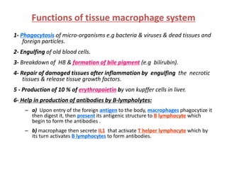 Functions of tissue macrophage system
1- Phagocytosis of micro-organisms e.g bacteria & viruses & dead tissues and
foreign particles.
2- Engulfing of old blood cells.
3- Breakdown of HB & formation of bile pigment (e.g bilirubin).
4- Repair of damaged tissues after inflammation by engulfing the necrotic
tissues & release tissue growth factors.
5 - Production of 10 % of erythropoietin by von kupffer cells in liver.
6- Help in production of antibodies by B-lympholytes:
– a) Upon entry of the foreign antigen to the body, macrophages phagocytize it
then digest it, then present its antigenic structure to B lymphocyte which
begin to form the antibodies .
– b) macrophage then secrete IL1 that activate T helper lymphocyte which by
its turn activates B lymphocytes to form antibodies.
 