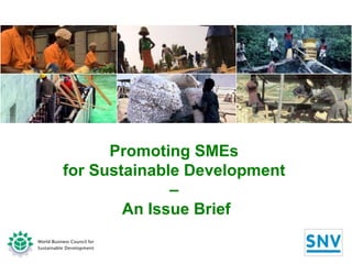 Promoting SMEs  for Sustainable Development  –  An Issue Brief 