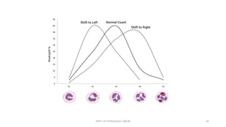 Wdf Graph White Blood Cells | PDF
