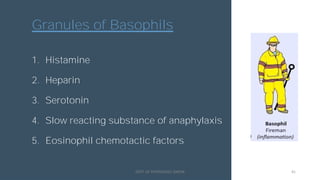 White Blood Cells | PDF